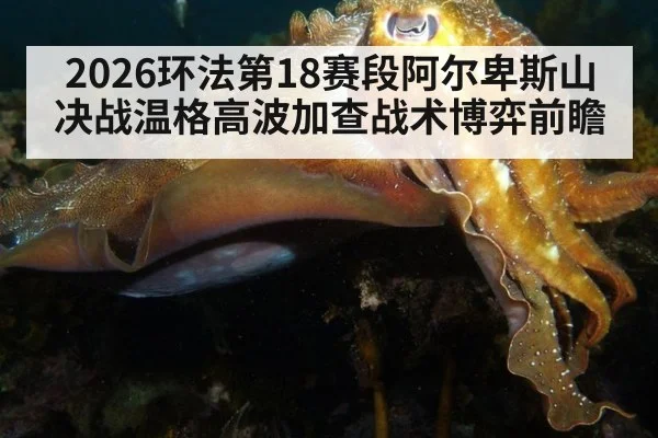 2026环法第18赛段阿尔卑斯山决战温格高波加查战术博弈前瞻