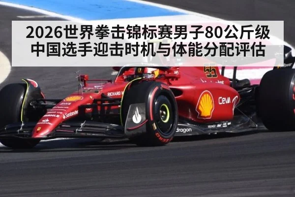 2026世界拳击锦标赛男子80公斤级 中国选手迎击时机与体能分配评估